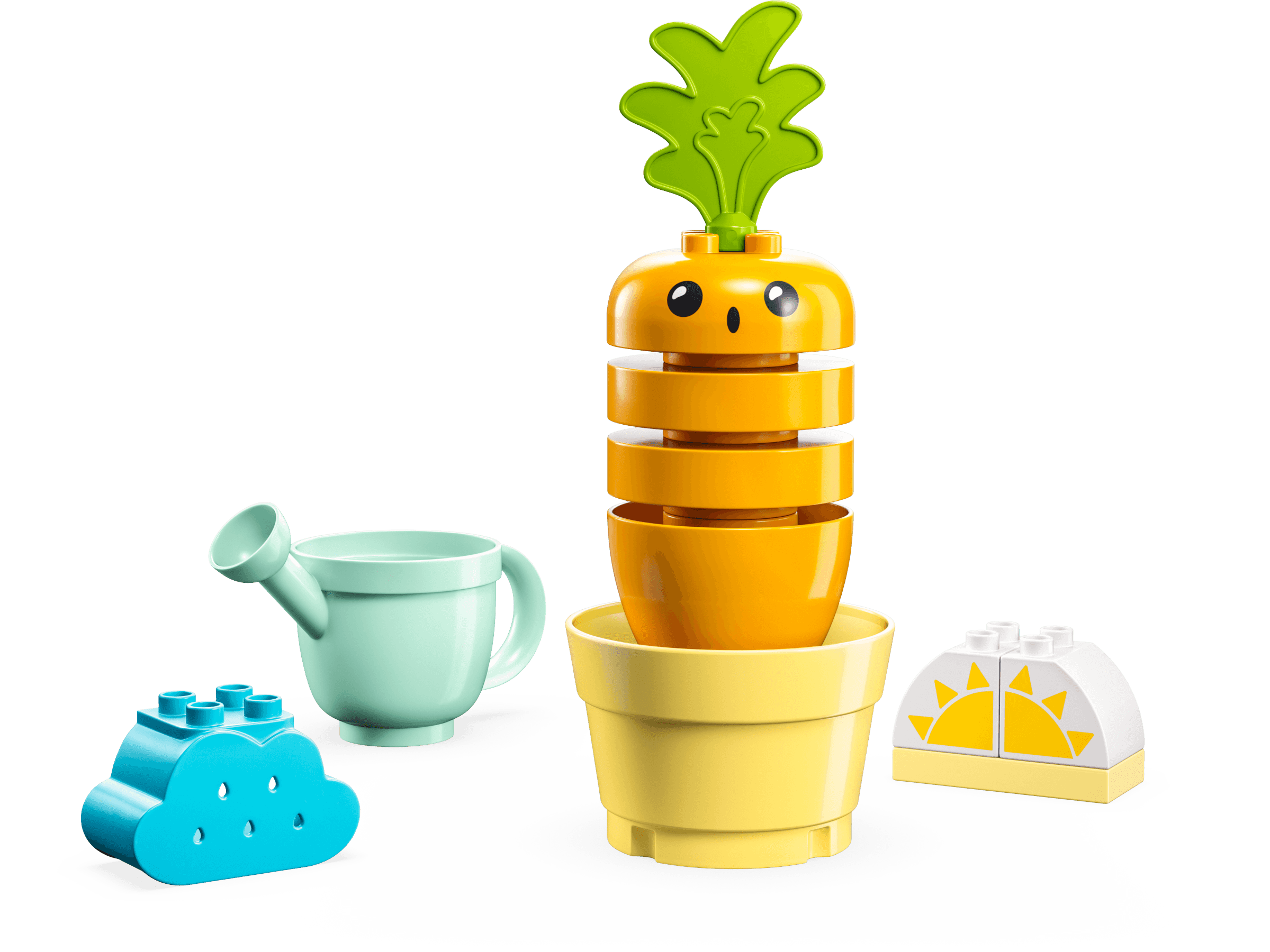 Growing Carrot