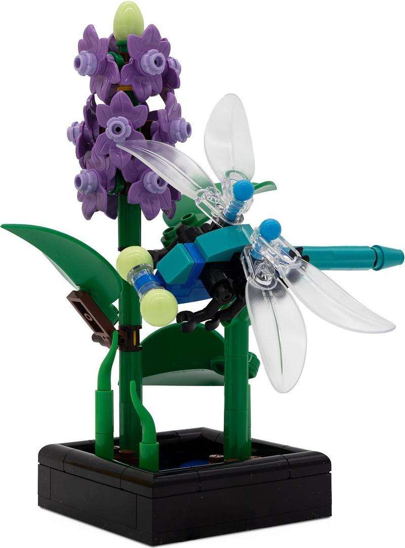 Dragonfly Garden