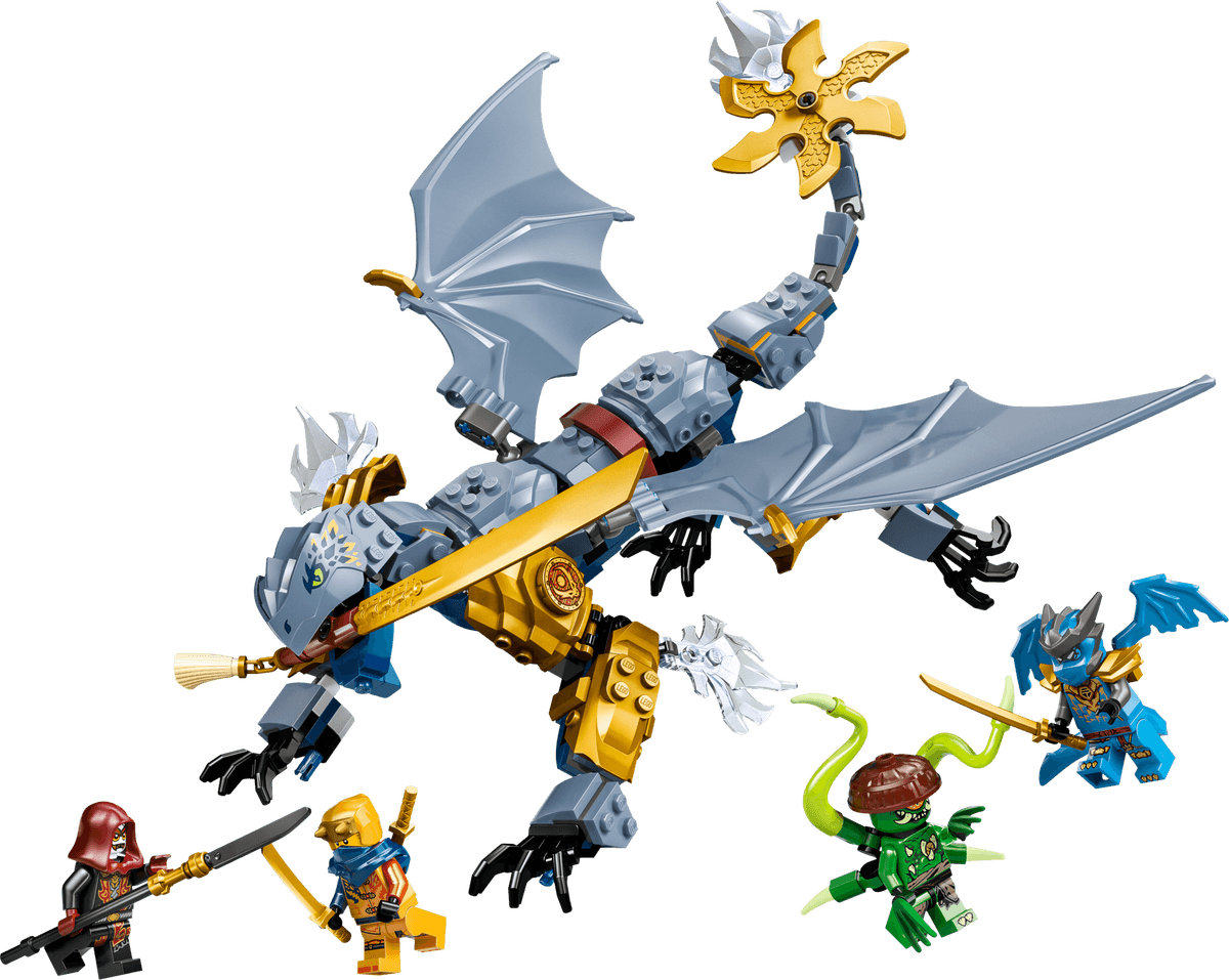 Ninja Dragon Riyu's Battle