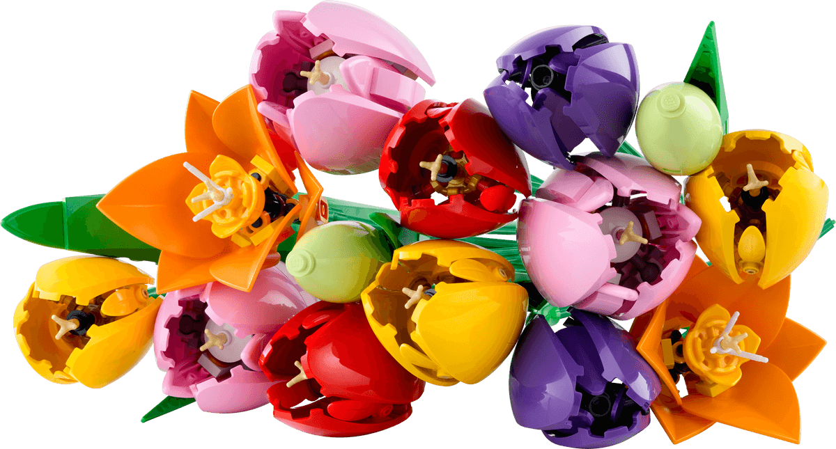 Tulip Bouquet
