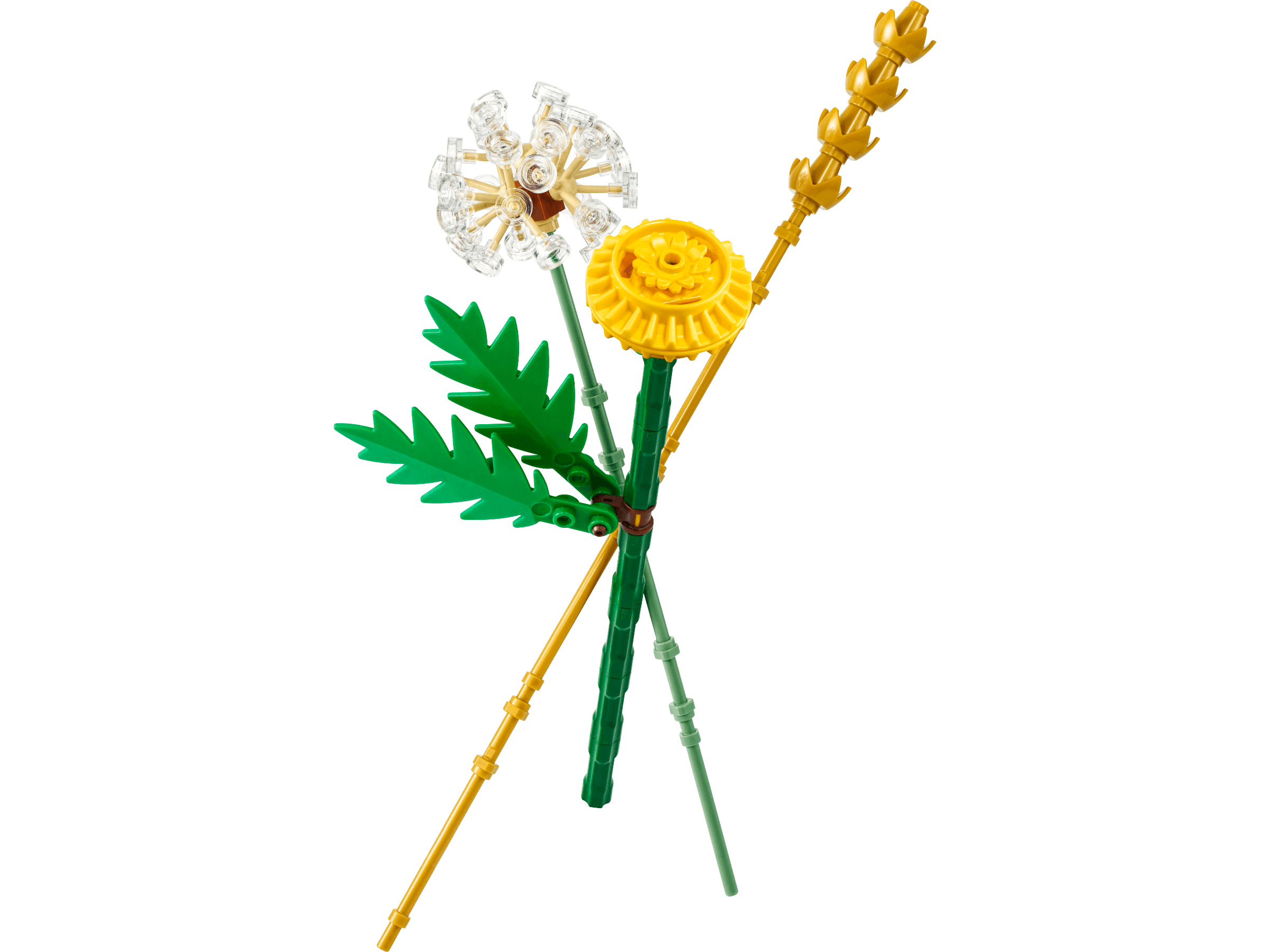 Field Flowers